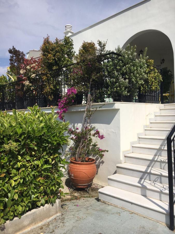 Villa Sunny Sea House Rafína Exterior foto